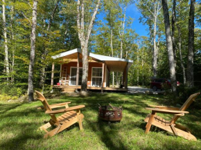 Bear Cabin - Forest Retreat nearby Lake - not on waterfront
